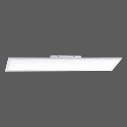 Paul Neuhaus 16533-16-O - LED Hämardatav pinnale paigaldatav paneel FLAT LED/24W/230V 2700-5000K valge + Pult