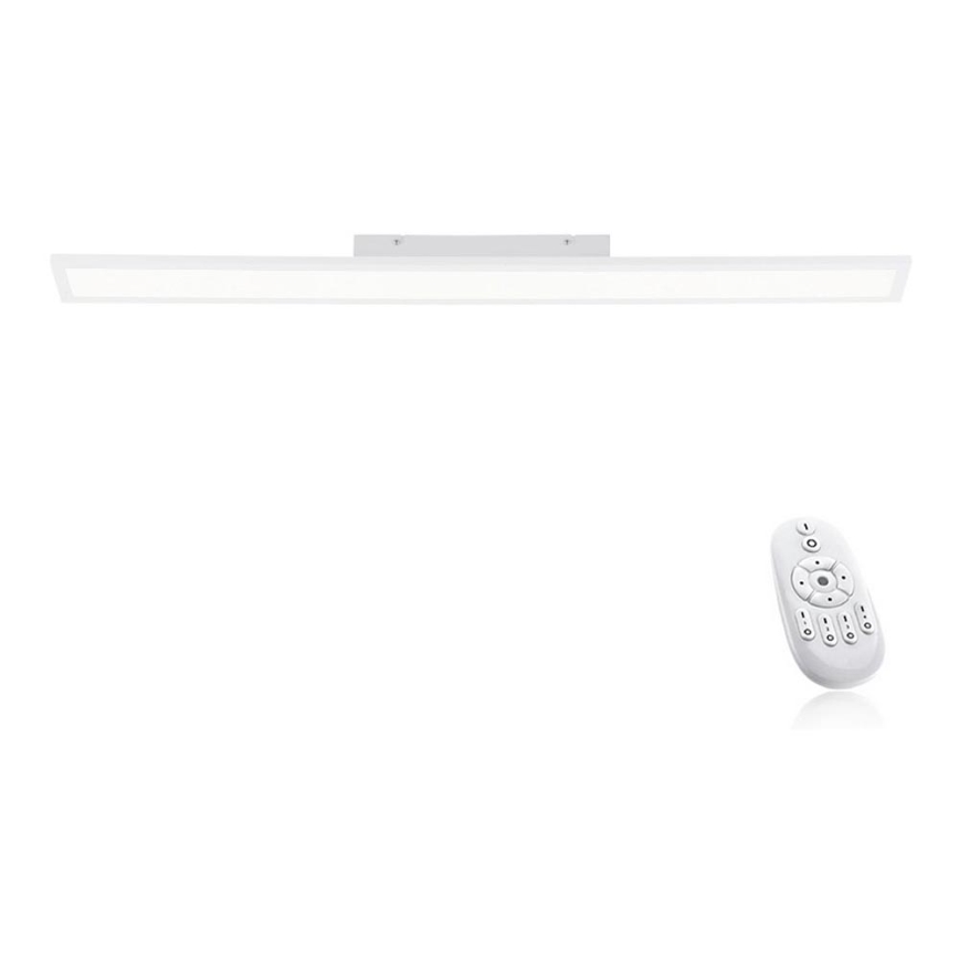 Paul Neuhaus 16537-16-O - LED Hämardatav pinnale kinnitatav paneel FLAT LED/21W/230V + pult