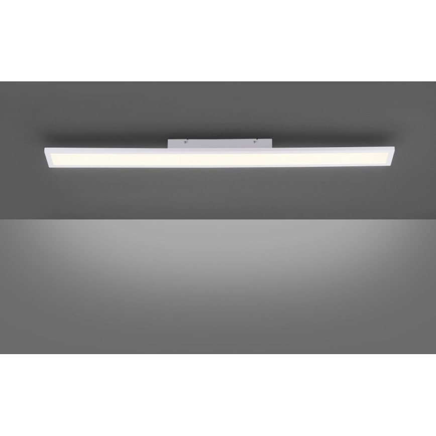 Paul Neuhaus 16537-16-O - LED Hämardatav pinnale kinnitatav paneel FLAT LED/21W/230V + pult