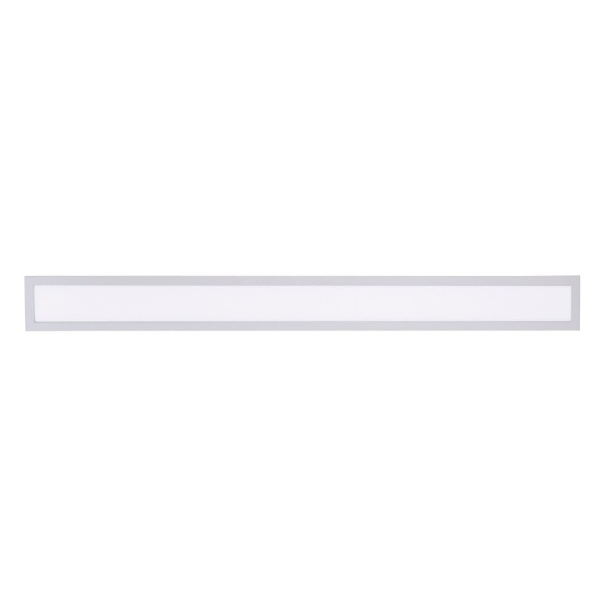 Paul Neuhaus 16537-16-O - LED Hämardatav pinnale kinnitatav paneel FLAT LED/21W/230V + pult