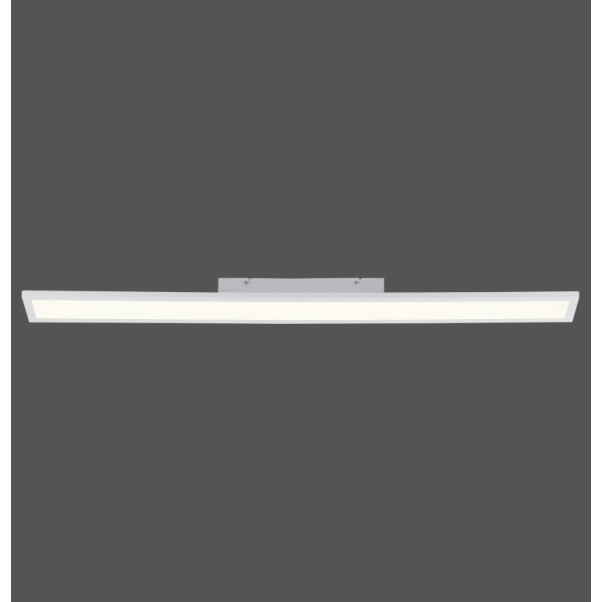 Paul Neuhaus 16537-16-O - LED Hämardatav pinnale kinnitatav paneel FLAT LED/21W/230V + pult