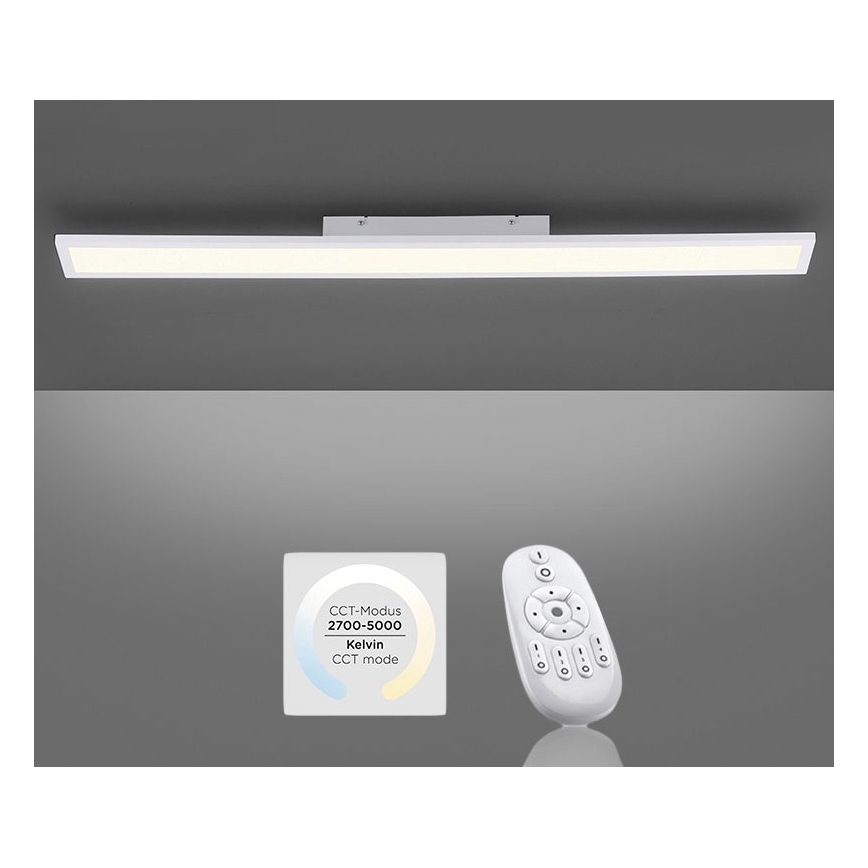 Paul Neuhaus 16537-16-O - LED Hämardatav pinnale kinnitatav paneel FLAT LED/21W/230V + pult