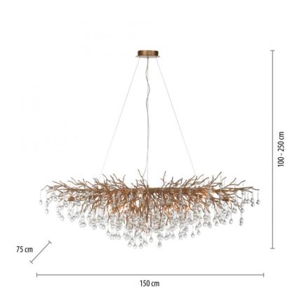 Paul Neuhaus 2031-11 - Lühter ICICLE 15xG9/40W/230V 75x150 cm messing