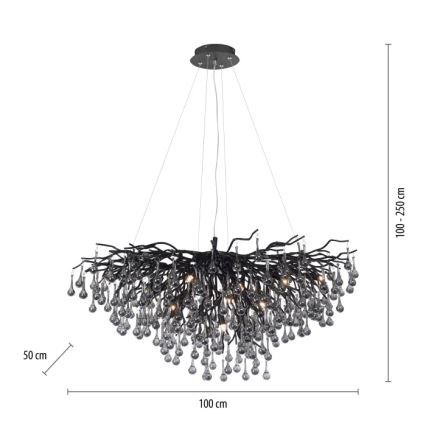 Paul Neuhaus 2192-18 - Laelühter kaabliga ICICLE 10xG9/40W/230V 50x100 cm must