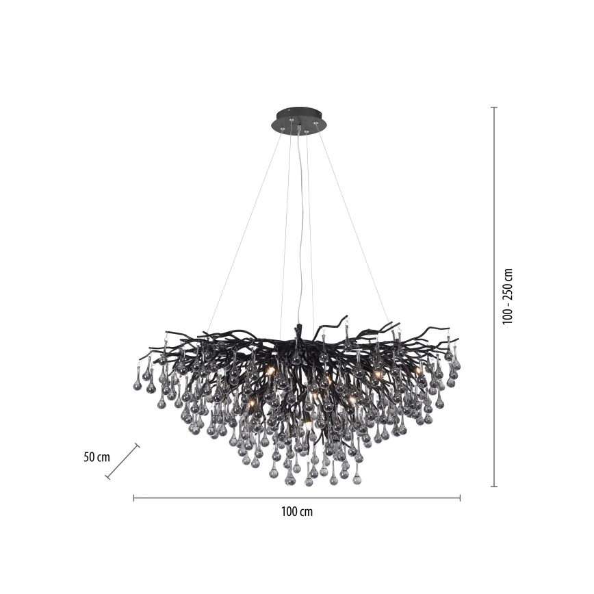 Paul Neuhaus 2192-18 - Laelühter kaabliga ICICLE 10xG9/40W/230V 50x100 cm must