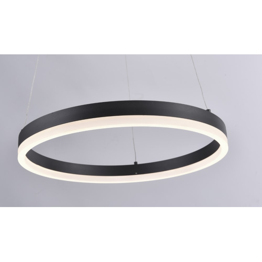 Paul Neuhaus 2381-13 - LED Hämardatav lühter TITUS LED/28W/230V