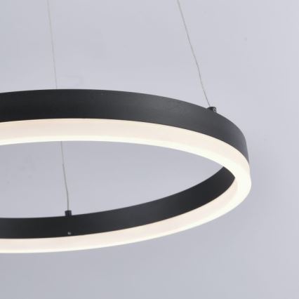 Paul Neuhaus 2381-13 - LED Hämardatav lühter TITUS LED/28W/230V