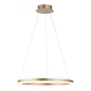Paul Neuhaus 2382-60 - LED Hämardatav lühter TITUS LED/38,5W/230V