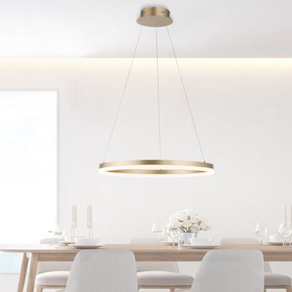 Paul Neuhaus 2382-60 - LED Hämardatav lühter TITUS LED/38,5W/230V