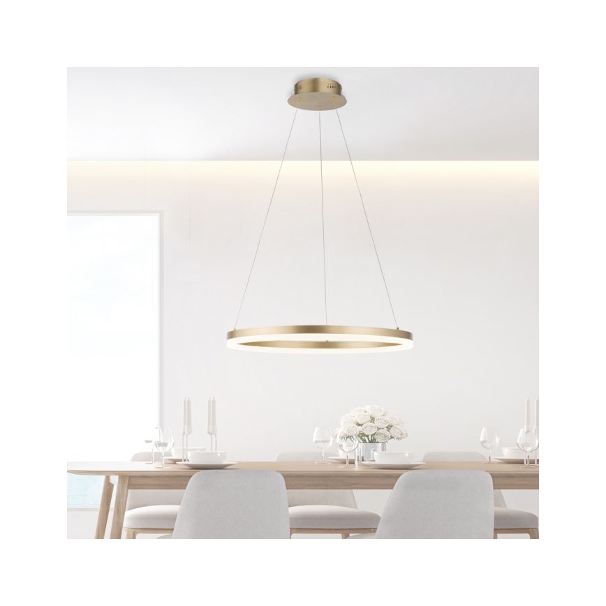 Paul Neuhaus 2382-60 - LED Hämardatav lühter TITUS LED/38,5W/230V