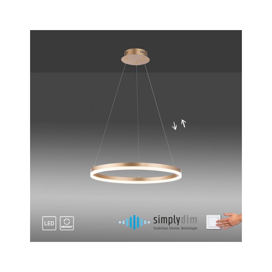 Paul Neuhaus 2382-60 - LED Hämardatav lühter TITUS LED/38,5W/230V