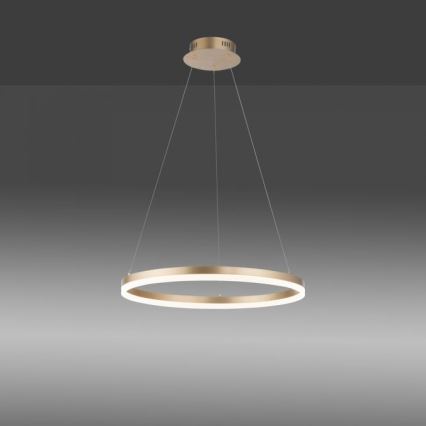 Paul Neuhaus 2382-60 - LED Hämardatav lühter TITUS LED/38,5W/230V
