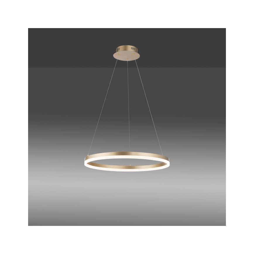 Paul Neuhaus 2382-60 - LED Hämardatav lühter TITUS LED/38,5W/230V