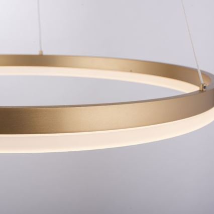 Paul Neuhaus 2382-60 - LED Hämardatav lühter TITUS LED/38,5W/230V