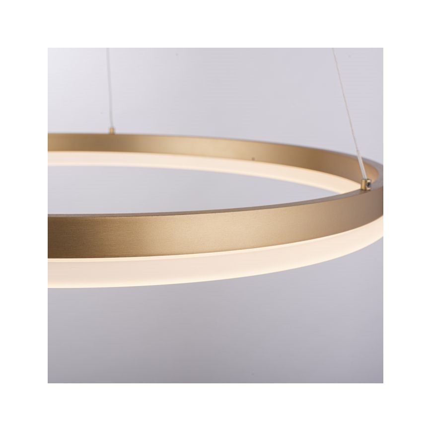 Paul Neuhaus 2382-60 - LED Hämardatav lühter TITUS LED/38,5W/230V