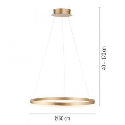 Paul Neuhaus 2382-60 - LED Hämardatav lühter TITUS LED/38,5W/230V
