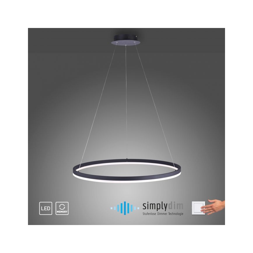 Paul Neuhaus 2383-13 - LED Hämardatav lühter TITUS LED/50W/230V