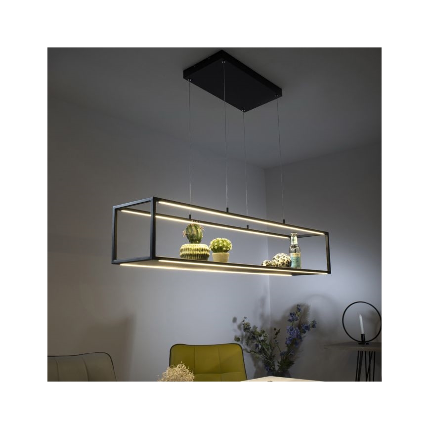 Paul Neuhaus 2441-18 - LED Hämardatav lühter CONTURA 4xLED/8W/230V