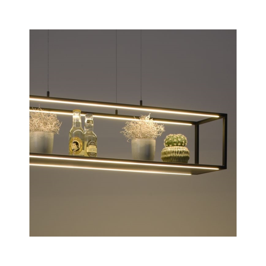 Paul Neuhaus 2441-18 - LED Hämardatav lühter CONTURA 4xLED/8W/230V