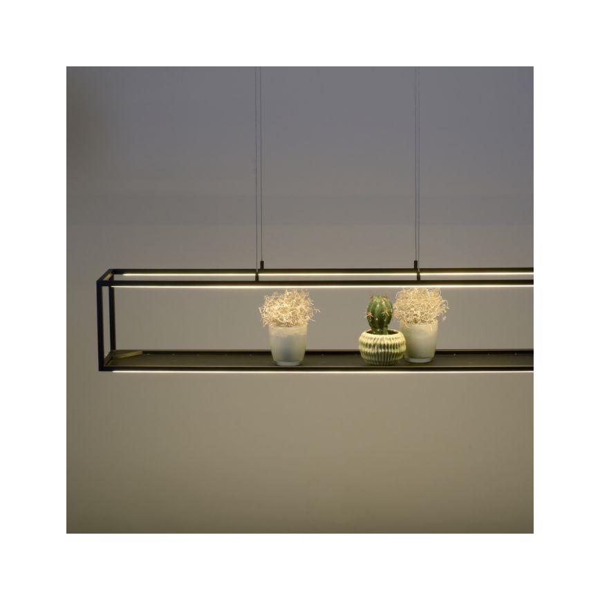 Paul Neuhaus 2441-18 - LED Hämardatav lühter CONTURA 4xLED/8W/230V