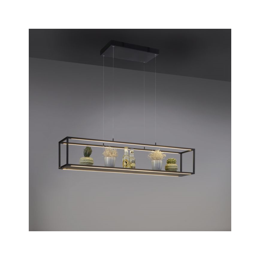 Paul Neuhaus 2441-18 - LED Hämardatav lühter CONTURA 4xLED/8W/230V