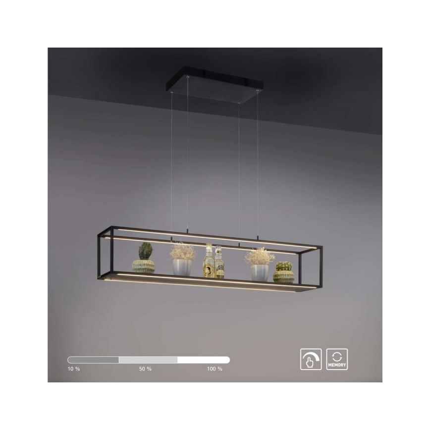 Paul Neuhaus 2441-18 - LED Hämardatav lühter CONTURA 4xLED/8W/230V