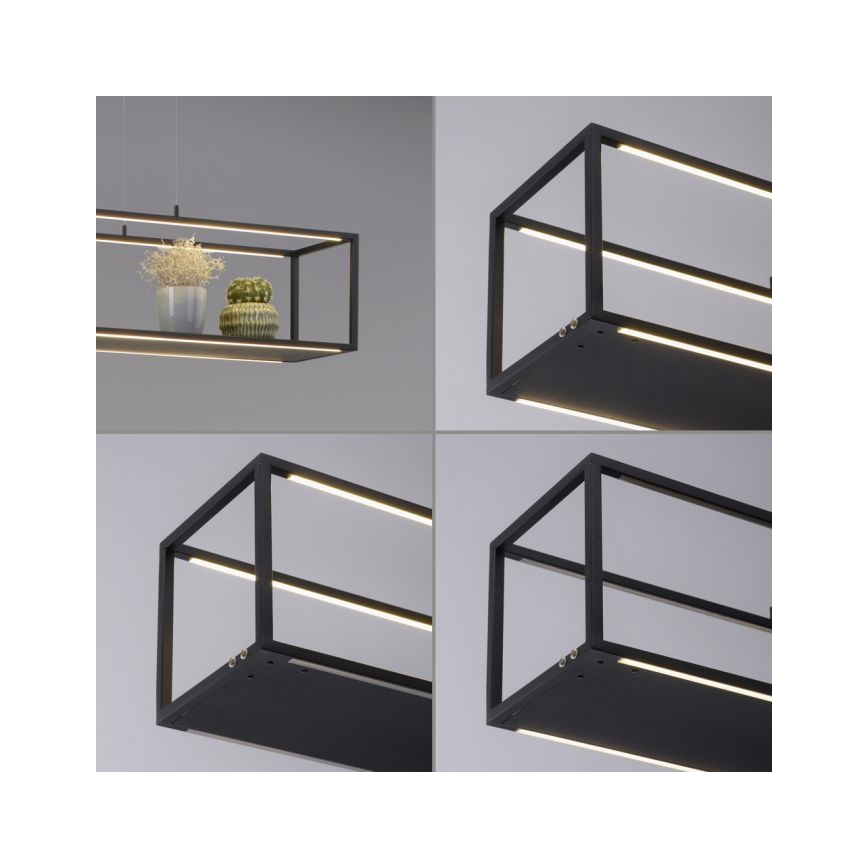 Paul Neuhaus 2441-18 - LED Hämardatav lühter CONTURA 4xLED/8W/230V