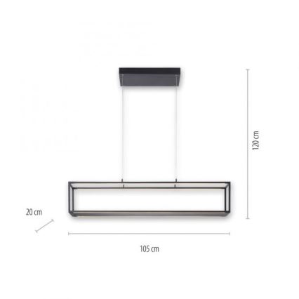 Paul Neuhaus 2441-18 - LED Hämardatav lühter CONTURA 4xLED/8W/230V