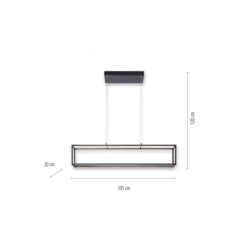 Paul Neuhaus 2441-18 - LED Hämardatav lühter CONTURA 4xLED/8W/230V