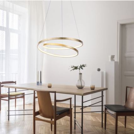 Paul Neuhaus 2472-12 - LED Hämardatav lühter ROMAN LED/30W/230V kuldne