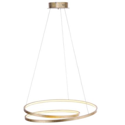 Paul Neuhaus 2474-12 - LED Hämardatav lühter ROMAN LED/40W/230V kuldne