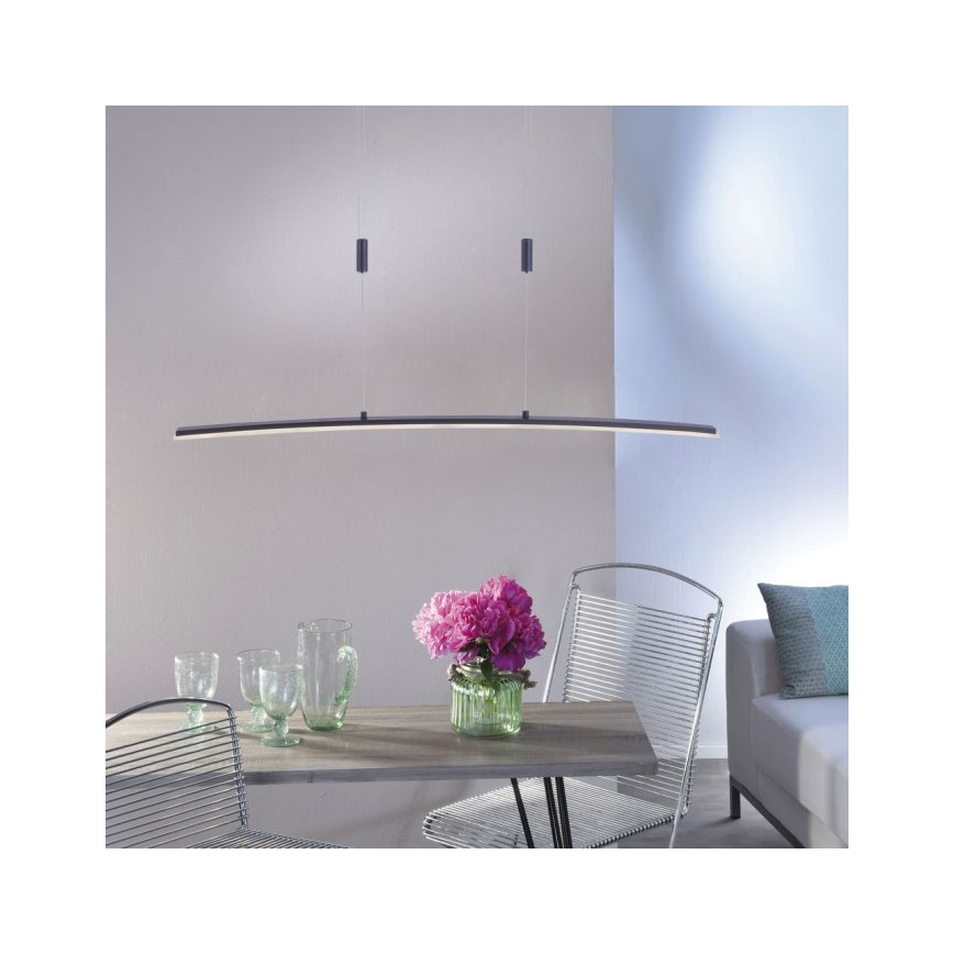 Paul Neuhaus 2530-13 - LED Hämardatav lühter JANINA LED/27W/230V