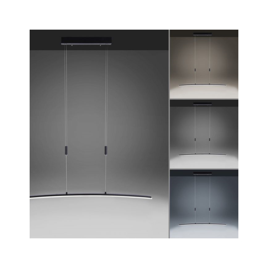 Paul Neuhaus 2530-13 - LED Hämardatav lühter JANINA LED/27W/230V