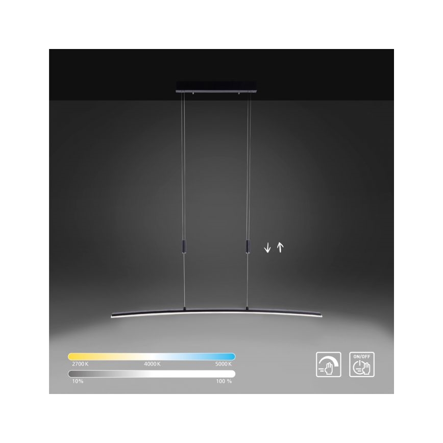 Paul Neuhaus 2530-13 - LED Hämardatav lühter JANINA LED/27W/230V