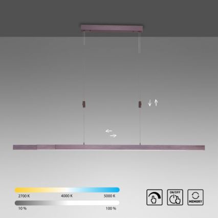 Paul Neuhaus 2568-24 - LED Hämardatav lühter ADRIANA LED/14W/230V 2700-5000K