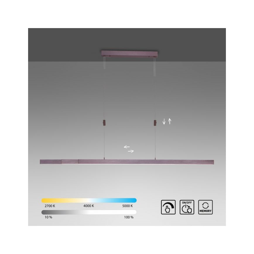 Paul Neuhaus 2568-24 - LED Hämardatav lühter ADRIANA LED/14W/230V 2700-5000K