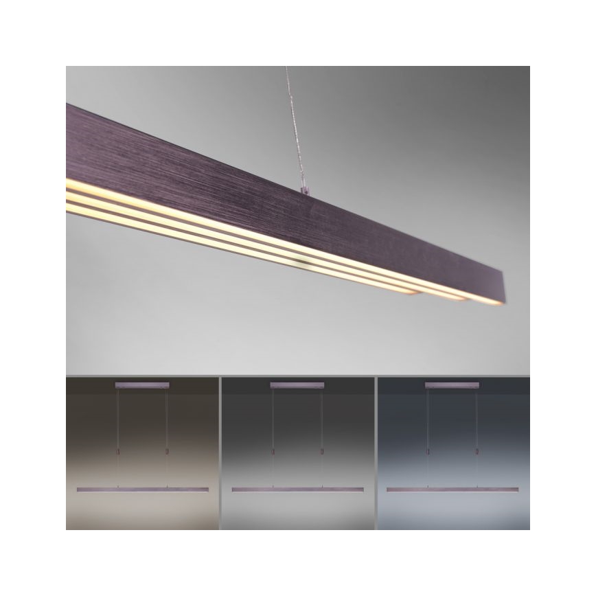 Paul Neuhaus 2568-24 - LED Hämardatav lühter ADRIANA LED/14W/230V 2700-5000K