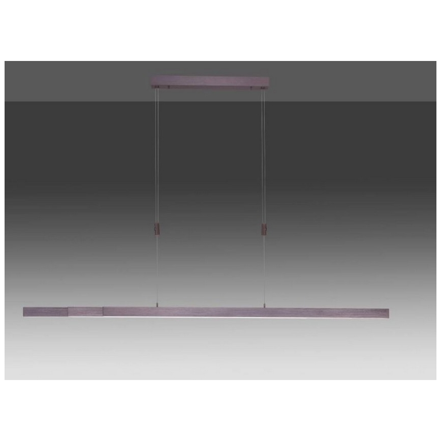 Paul Neuhaus 2568-24 - LED Hämardatav lühter ADRIANA LED/14W/230V 2700-5000K