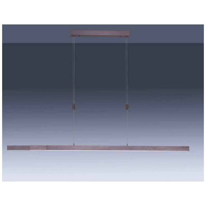 Paul Neuhaus 2568-24 - LED Hämardatav lühter ADRIANA LED/14W/230V 2700-5000K