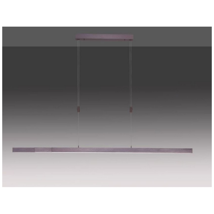 Paul Neuhaus 2568-24 - LED Hämardatav lühter ADRIANA LED/14W/230V 2700-5000K