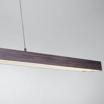 Paul Neuhaus 2568-24 - LED Hämardatav lühter ADRIANA LED/14W/230V 2700-5000K