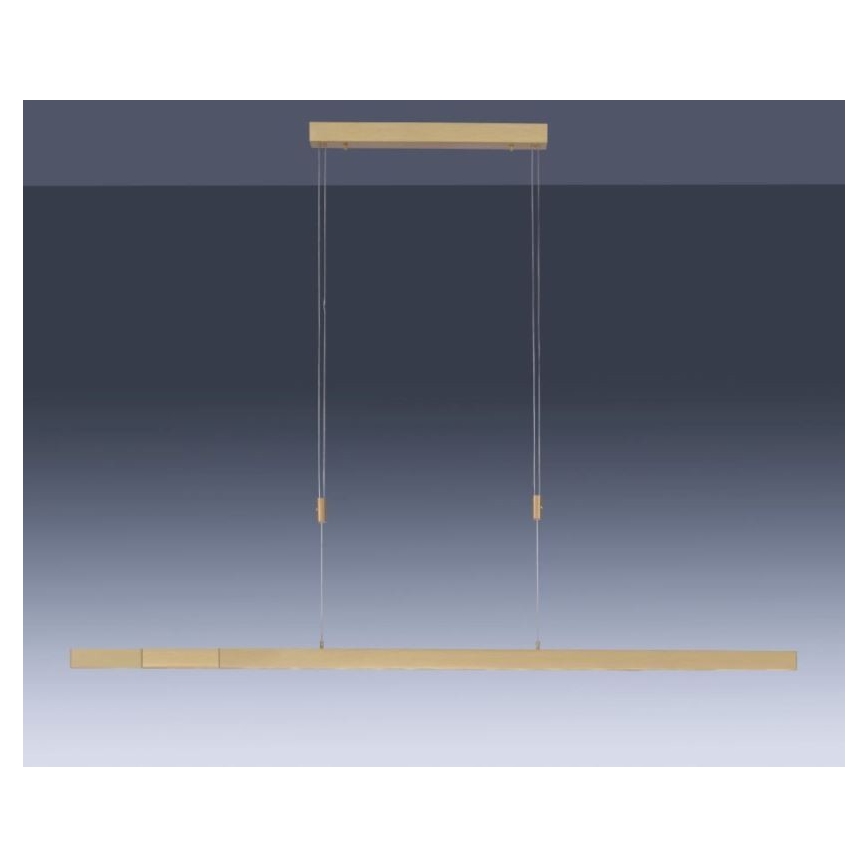 Paul Neuhaus 2568-60 - LED Hämardatav lühter ADRIANA LED/14W/230V  2700-5000K messing