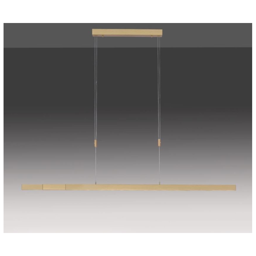 Paul Neuhaus 2568-60 - LED Hämardatav lühter ADRIANA LED/14W/230V  2700-5000K messing