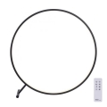 Paul Neuhaus 319-18 - LED Hämardatav põrandalamp HULA LED/21,5W/230V 2700-5000K + kaugjuhtimispult