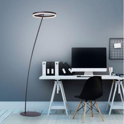 Paul Neuhaus 381-13 - LED Hämardatav põrandalamp TITUS LED/19,5W/230V