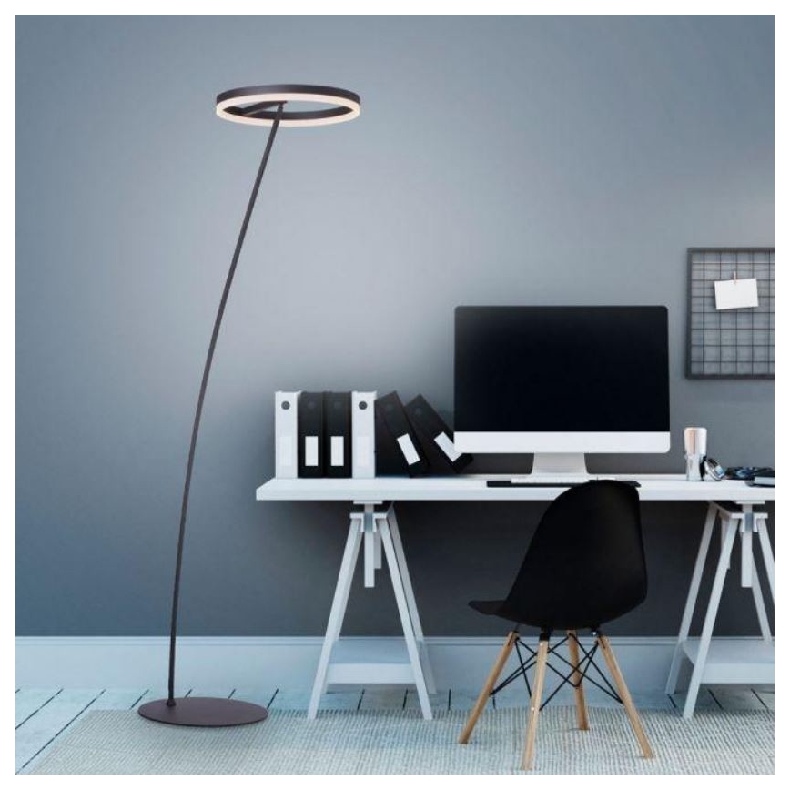 Paul Neuhaus 381-13 - LED Hämardatav põrandalamp TITUS LED/19,5W/230V