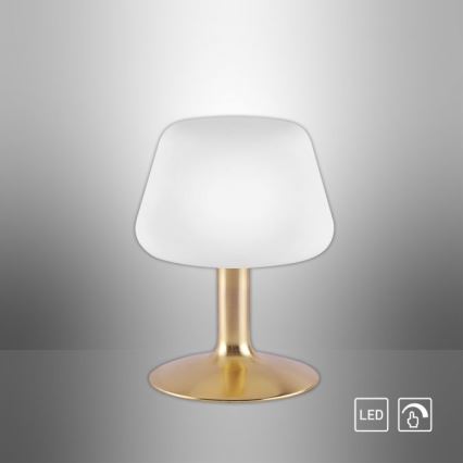 Paul Neuhaus 4078-60 - LED Hämardatav puutetundlik laualamp TILL 1xG9/3W/230V messing