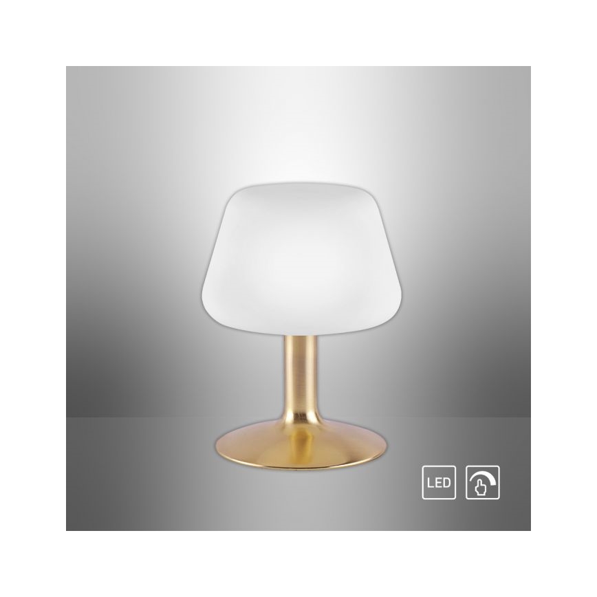 Paul Neuhaus 4078-60 - LED Hämardatav puutetundlik laualamp TILL 1xG9/3W/230V messing
