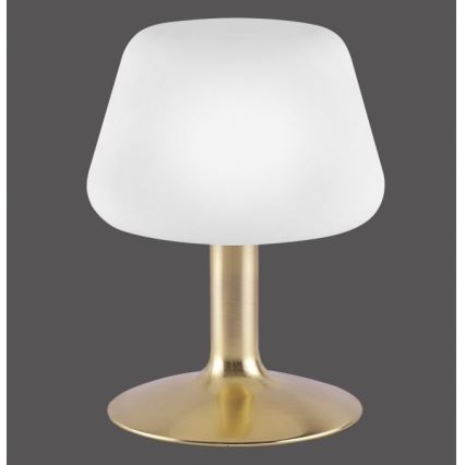 Paul Neuhaus 4078-60 - LED Hämardatav puutetundlik laualamp TILL 1xG9/3W/230V messing