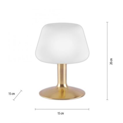 Paul Neuhaus 4078-60 - LED Hämardatav puutetundlik laualamp TILL 1xG9/3W/230V messing